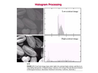 Histogram Processing
 