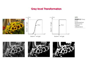 Gray-level Transformation
 