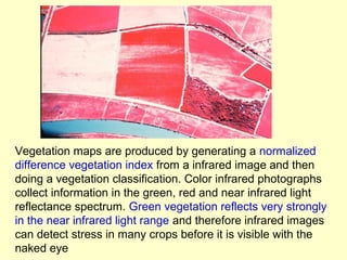 Vegetation maps are produced by generating a normalized
difference vegetation index from a infrared image and then
doing a vegetation classification. Color infrared photographs
collect information in the green, red and near infrared light
reflectance spectrum. Green vegetation reflects very strongly
in the near infrared light range and therefore infrared images
can detect stress in many crops before it is visible with the
naked eye

 