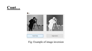 Cont…
Fig: Example of image inversion
 