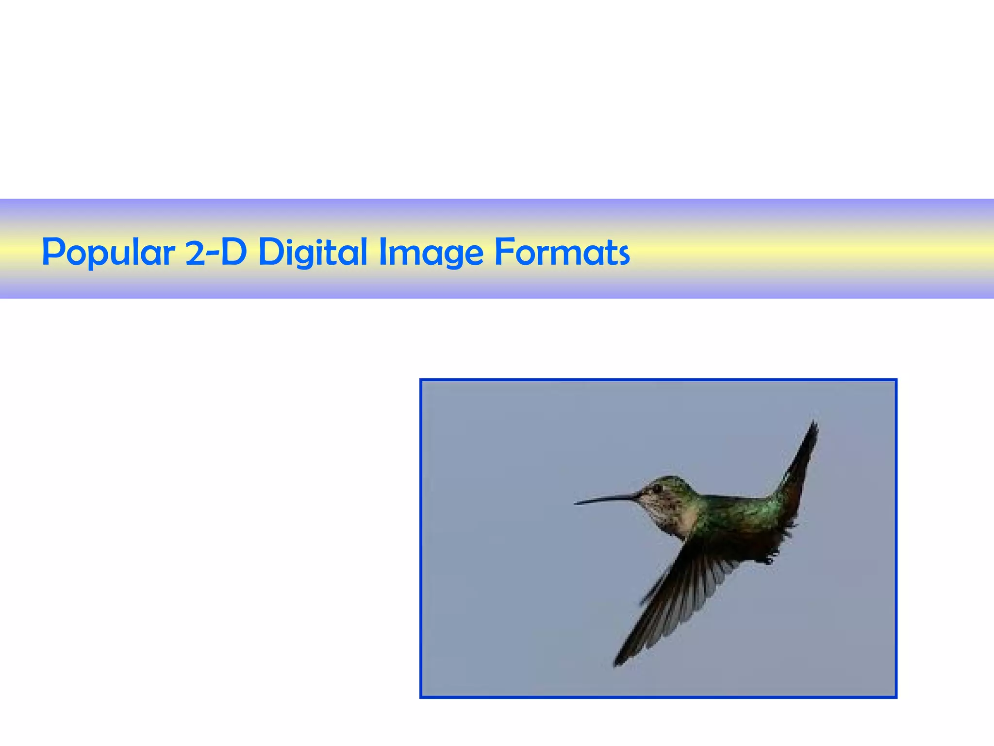 Popular 2-D Digital Image Formats
 