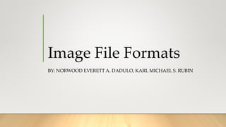 Image File Formats
BY: NORWOOD EVERETT A. DADULO, KARL MICHAEL S. RUBIN
 