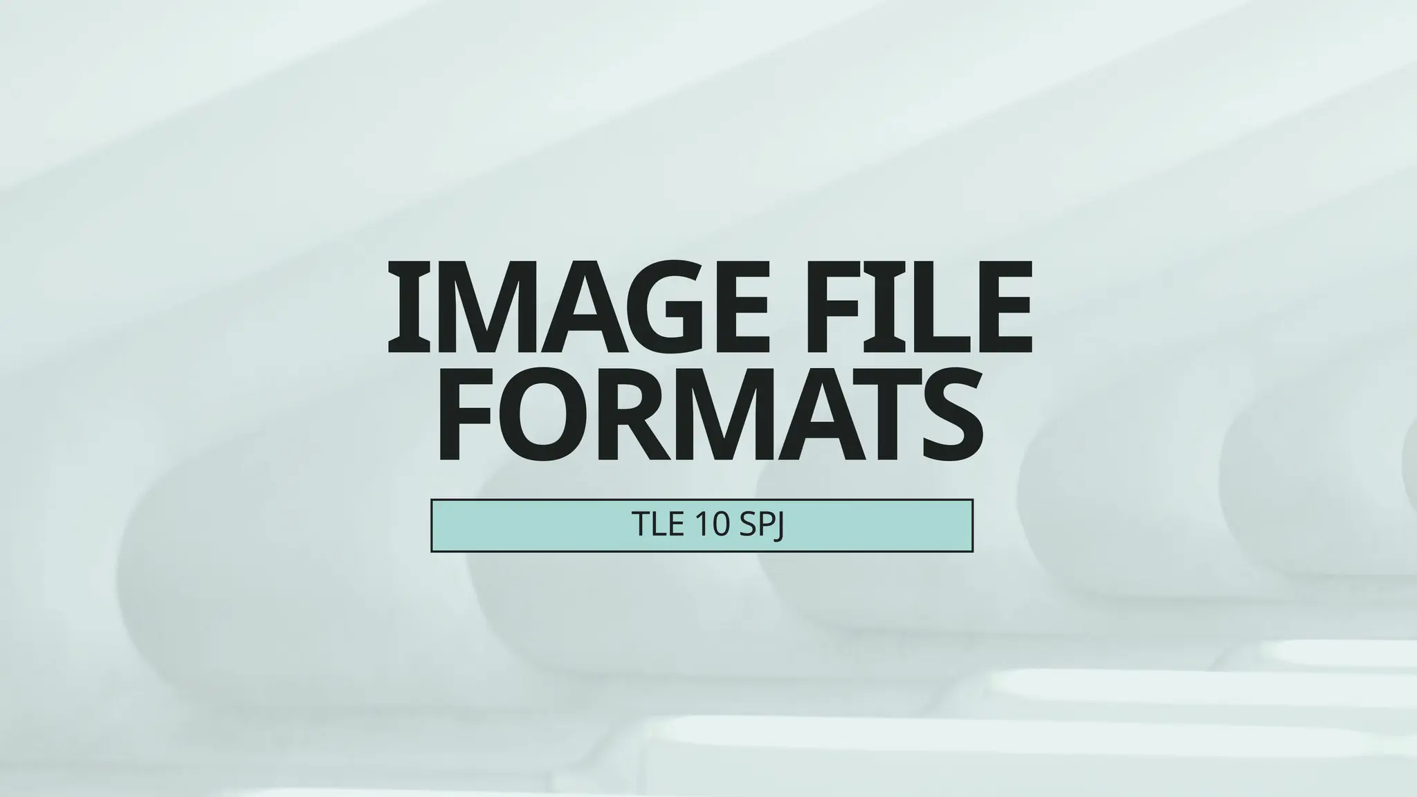IMAGE FILE
FORMATS
TLE 10 SPJ
 