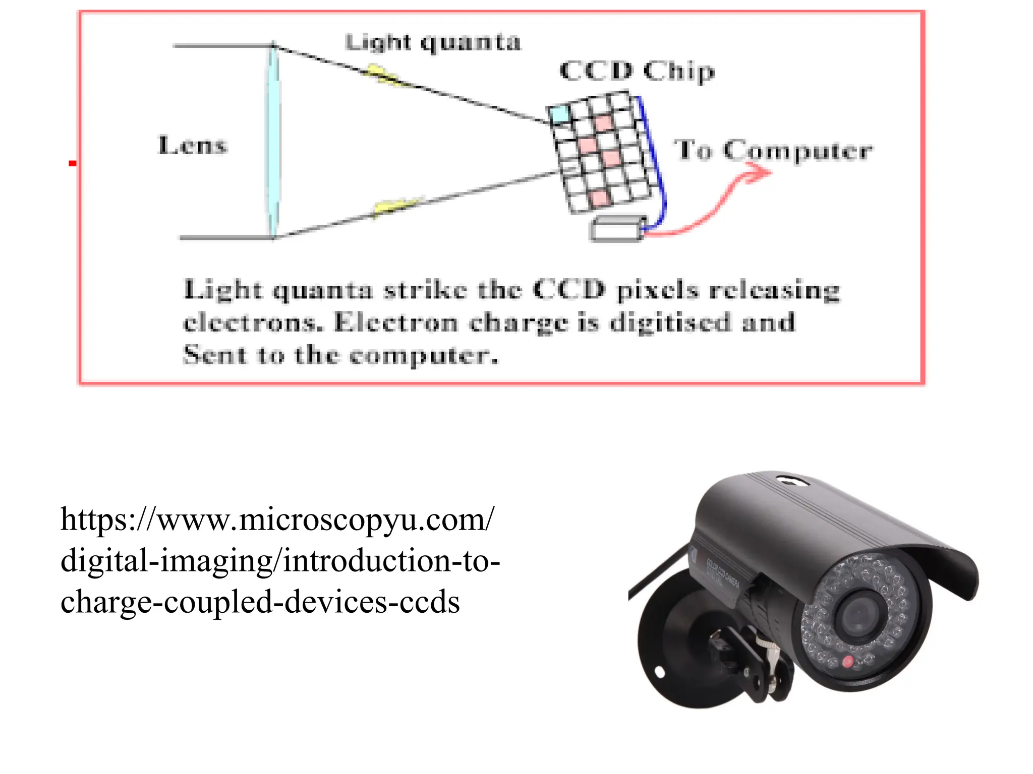 52
https://www.microscopyu.com/
digital-imaging/introduction-to-
charge-coupled-devices-ccds
 