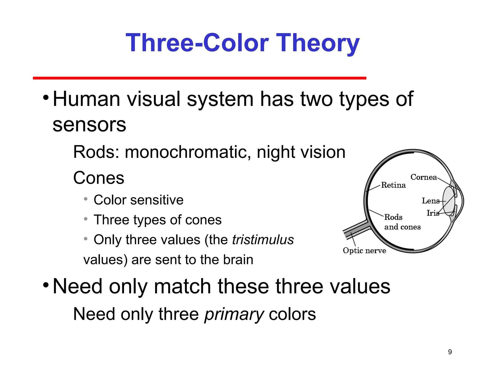 9
Three-Color Theory
•Human visual system has two types of
sensors
­ Rods: monochromatic, night vision
­ Cones
• Color sensitive
• Three types of cones
• Only three values (the tristimulus
values) are sent to the brain
•Need only match these three values
­ Need only three primary colors
 