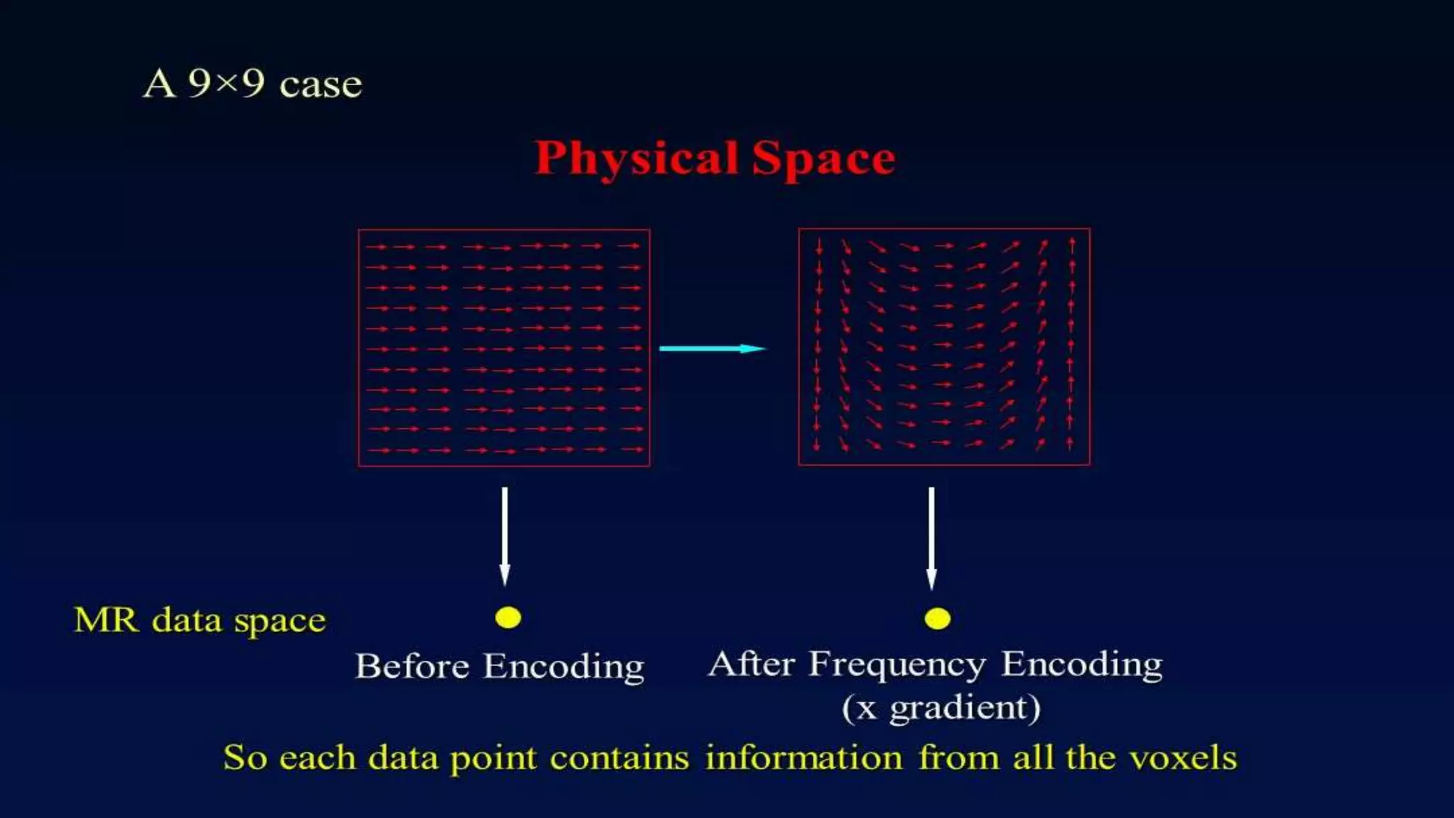Image formation and localisation of the signal