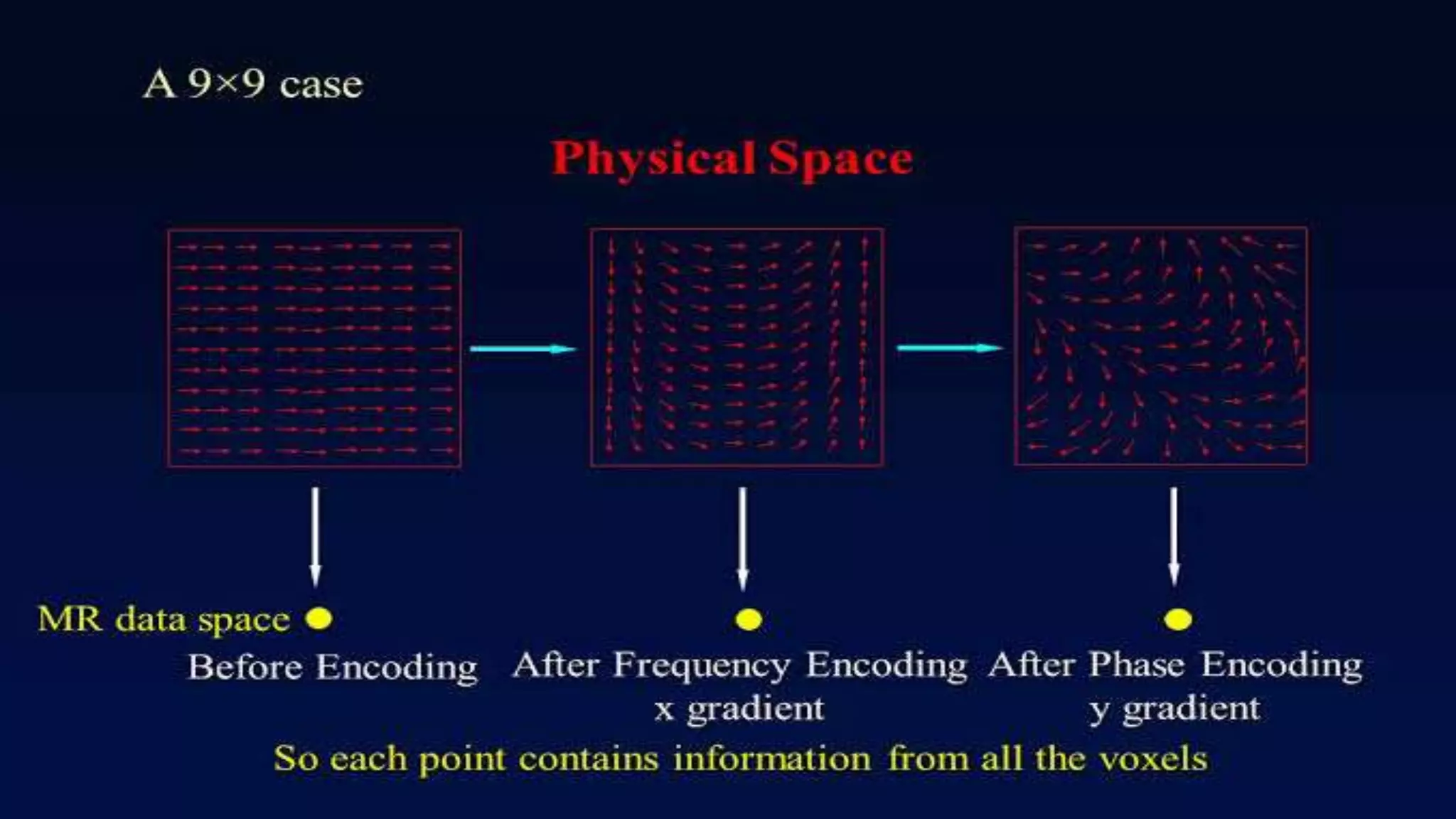 Image formation and localisation of the signal