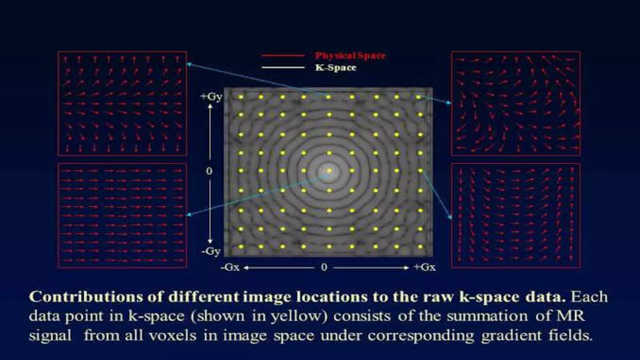 Image formation and localisation of the signal