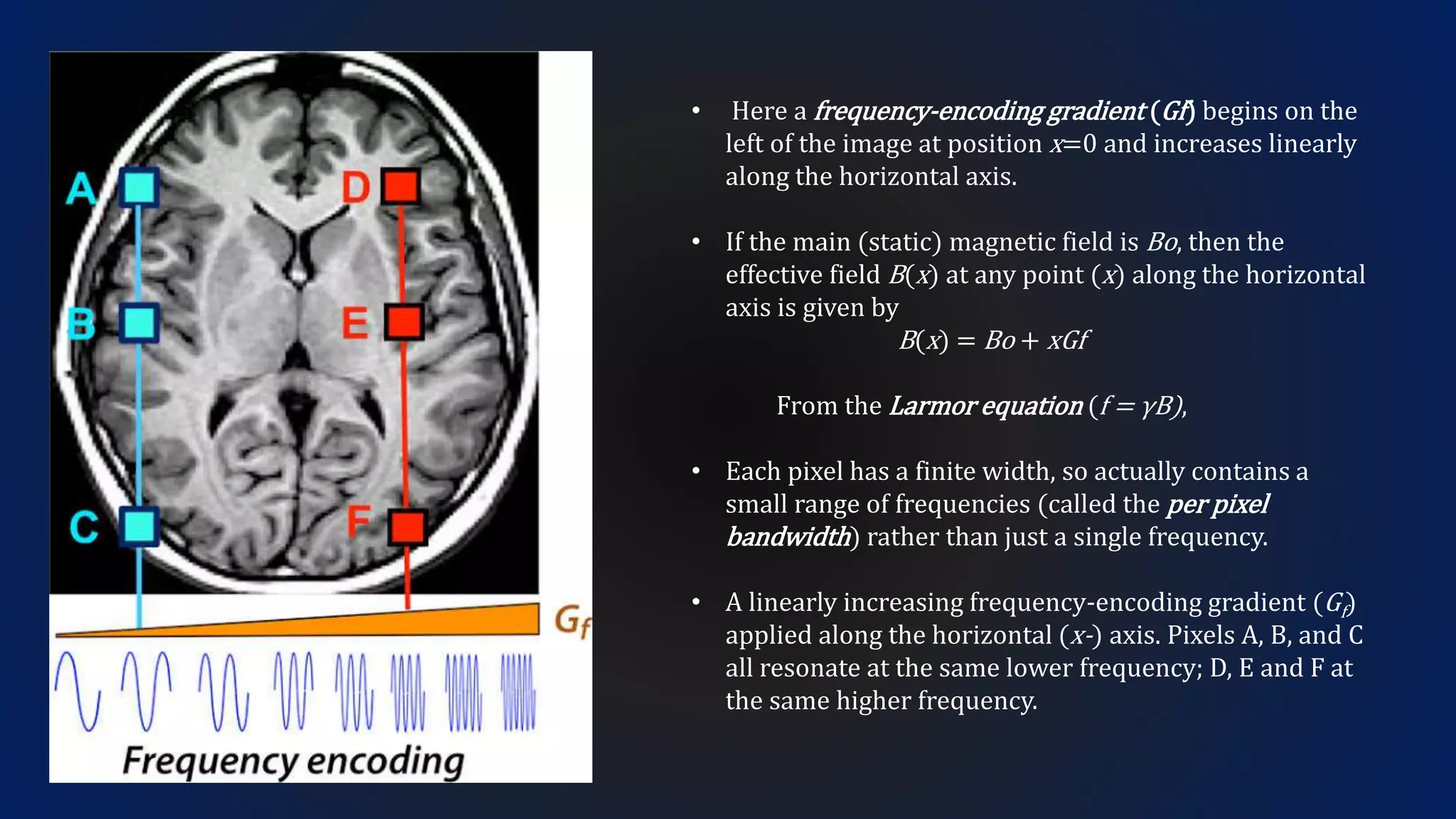 • Here a frequency-encoding gradient (Gf) begins on the
left of the image at position x=0 and increases linearly
along the horizontal axis.
• If the main (static) magnetic field is Bo, then the
effective field B(x) at any point (x) along the horizontal
axis is given by
B(x) = Bo + xGf
From the Larmor equation (f = γB),
• Each pixel has a finite width, so actually contains a
small range of frequencies (called the per pixel
bandwidth) rather than just a single frequency.
• A linearly increasing frequency-encoding gradient (Gf)
applied along the horizontal (x-) axis. Pixels A, B, and C
all resonate at the same lower frequency; D, E and F at
the same higher frequency.
 