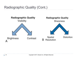 Playing Radiographic Image formation & rad quality | PDF