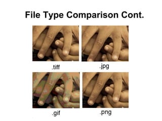 File Type Comparison Cont.

 