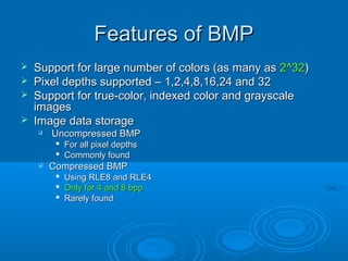 Image formats and codecs | PPT