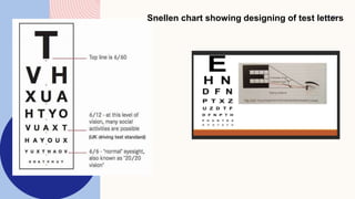 10
Snellen chart showing designing of test letters
 