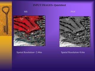 MS PAN
Spatial Resolution= 2.44m Spatial Resolution=0.6m
INPUT IMAGES- Quickbird
 