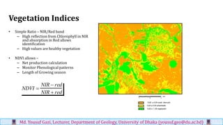 Vegetation Indices
• Simple Ratio – NIR/Red band
– High reflection from Chlorophyll in NIR
and absorption in Red allows
identification
– High values are healthy vegetation
• NDVI allows –
– Net production calculation
– Monitor Phenological patterns
– Length of Growing season
NDVI =
NIR − red
NIR + red
Md. Yousuf Gazi, Lecturer, Department of Geology, University of Dhaka (yousuf.geo@du.ac.bd)
 