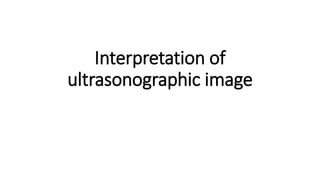 Interpretation of
ultrasonographic image
 