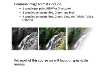 Common image formats include:
– 1 sample per point (B&W or Grayscale)
– 3 samples per point (Red, Green, and Blue)
– 4 samples per point (Red, Green, Blue, and “Alpha”, a.k.a.
Opacity)
For most of this course we will focus on grey-scale
images
 