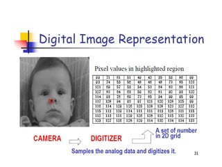 image introduction and origin steps in DIP