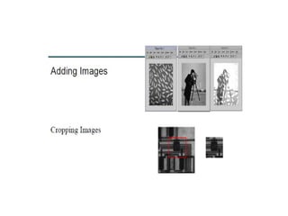 image introduction and origin steps in DIP