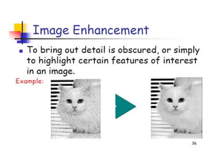 image introduction and origin steps in DIP