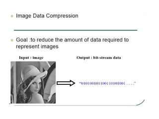 image introduction and origin steps in DIP