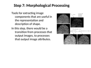 Tools for extracting image
components that are useful in
the representation and
description of shape.
In this step, there would be a
transition from processes that
output images, to processes
that output image attributes.
Step 7: Morphological Processing
 