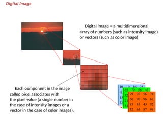 Digital Image
Digital image = a multidimensional
array of numbers (such as intensity image)
or vectors (such as color image)
Each component in the image
called pixel associates with
the pixel value (a single number in
the case of intensity images or a
vector in the case of color images).












39
87
15
32
22
13
25
15
37
26
6
9
28
16
10
10












39
65
65
54
42
47
54
21
67
96
54
32
43
56
70
65












99
87
65
32
92
43
85
85
67
96
90
60
78
56
70
99
 