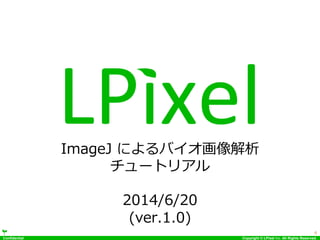 Confidential Copyright © LPixel Inc. All Rights Reserved.
ImageJ によるバイオ画像解析
チュートリアル
2014/6/20
(ver.1.0)
0
 