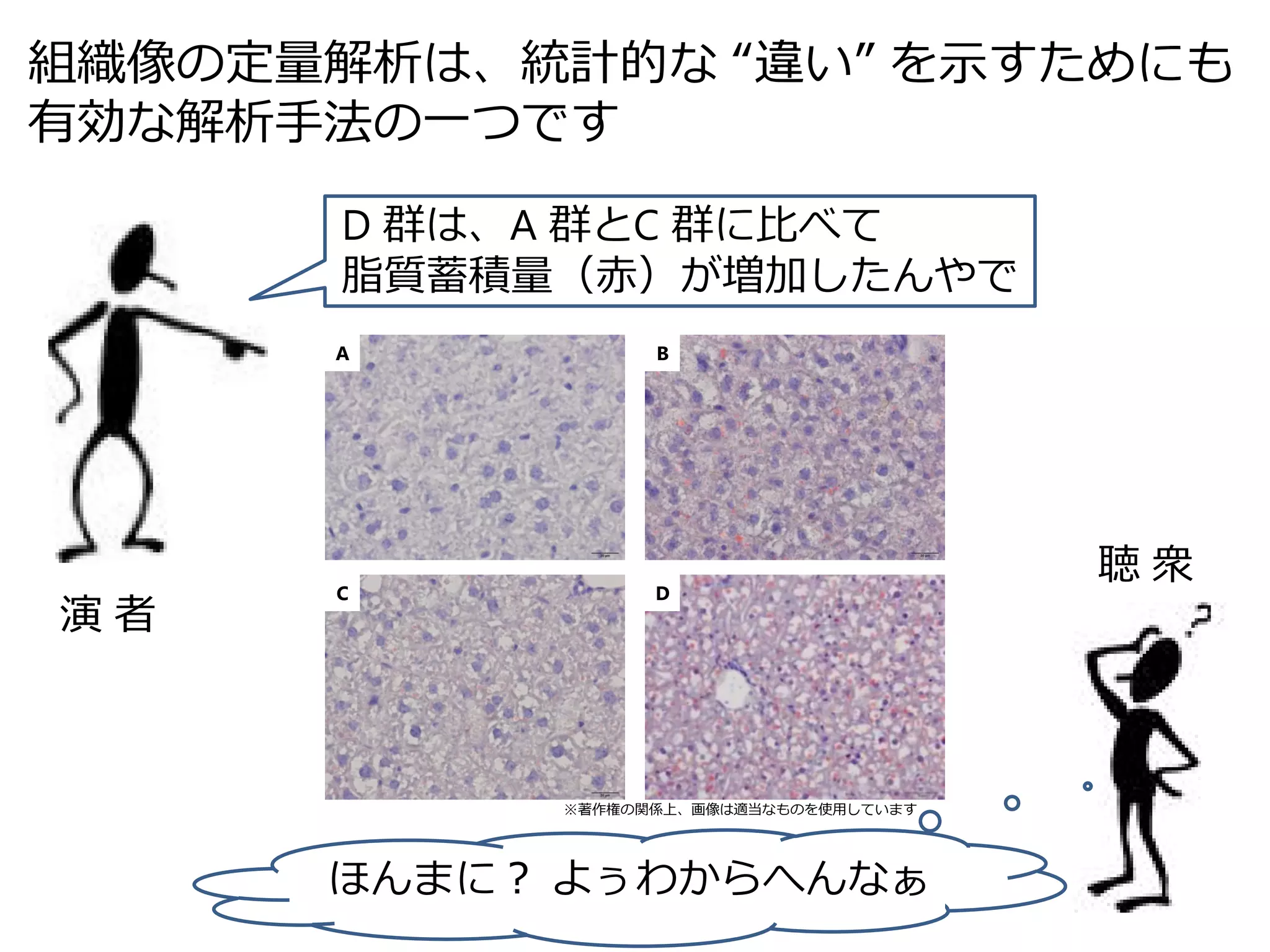 Image J を用いた組織像の定量解析 | PDF