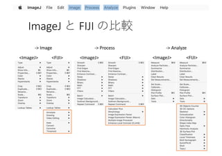 研究に使える便利なフリーソフト ImageJ | PDF