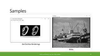 Imagej Sample ImageJ and AstroImageJ Software Presentation | PDF