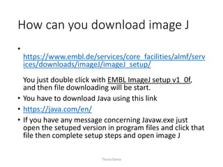 Image J for analysis of biological image and nanoparticle size ...