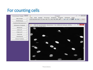 Image J for analysis of biological image and nanoparticle size ...