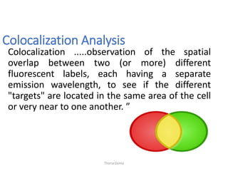 Spatial Colocalization Image J for analysis of biological image and nanoparticle size ...