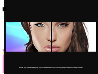 Fonte: http://www.rpdesigner.com.br/artigos/desktop-publishing/vetor-ou-bitmap-quando-utilizar/
 