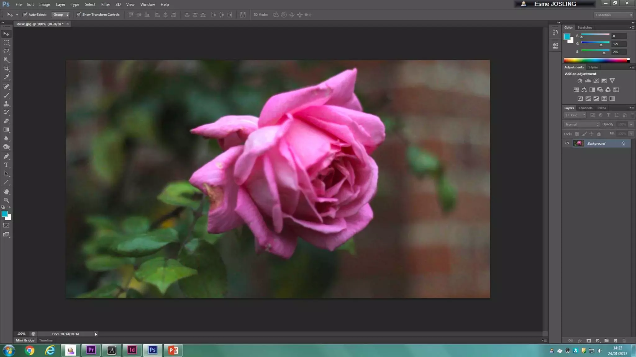 Image manipulation 1