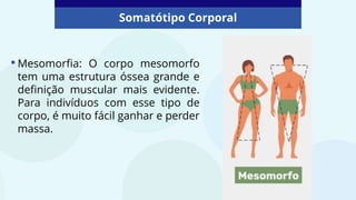 Somatótipo Corporal
•Mesomorfia: O corpo mesomorfo
tem uma estrutura óssea grande e
definição muscular mais evidente.
Para indivíduos com esse tipo de
corpo, é muito fácil ganhar e perder
massa.
 