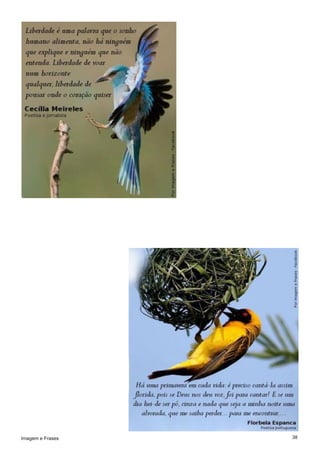 38Imagem e Frases
 
