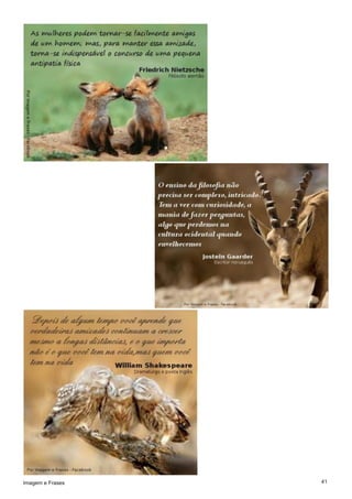 41Imagem e Frases
 