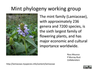 Mint phylogeny working group
The mint family (Lamiaceae),
with approximately 236
genera and 7200 species, is
the sixth largest family of
flowering plants, and has
major economic and cultural
importance worldwide.
http://lamiaceae.myspecies.info/content/lamiaceae
Ross Mounce
P Murray-Rust
Collaborators
 