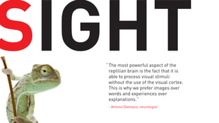 SIGHT
“ The most powerful aspect of the
reptilian brain is the fact that it is
able to process visual stimuli
without the use of the visual cortex.
This is why we prefer images over
words and experiences over
explanations.”
- Antonio Damasio, neurologist

 