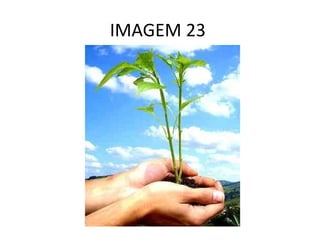 IMAGEM 23  