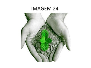 IMAGEM 24  