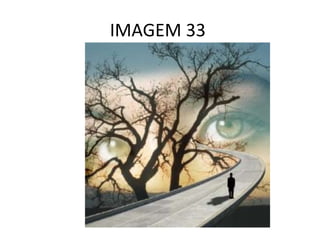 IMAGEM 33  