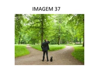 IMAGEM 37  