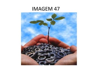 IMAGEM 47  