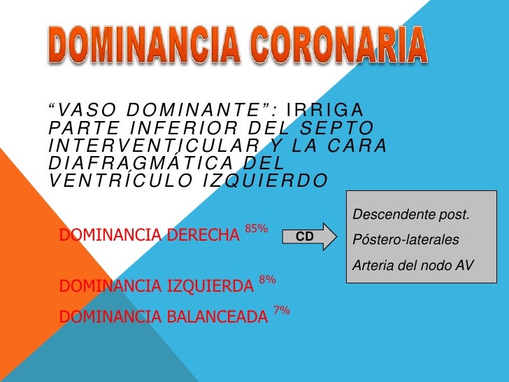 Imagenología Cardiovascular slideshare