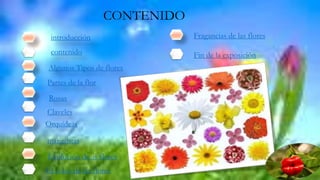 introducción
contenido
Algunos Tipos de flores
Rosas
Claveles
Orquídeas
margaritas
Partes de la flor
Evolución de as flores
El color de las flores
Fragancias de las flores
CONTENIDO
Fin de la exposición
 