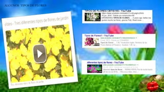 ALGUNOS TIPOS DE FLORES
 