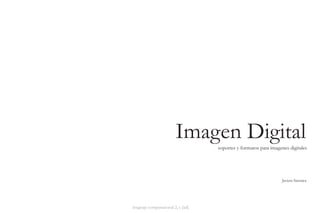 Imagen Digital
                                   soportes y formatos para imagenes digitales




                                                                 Javiera Sarratea




lenguaje computacional 2, e [ad]
 